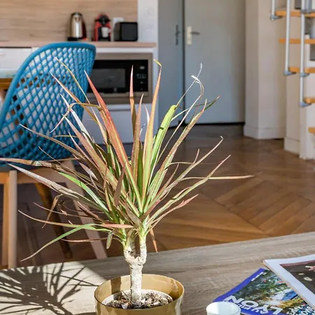 Apartamento Le Royale Haussman Junior - Louis Pradel - Netflix Lyon